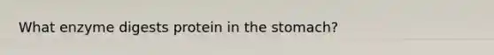 What enzyme digests protein in the stomach?