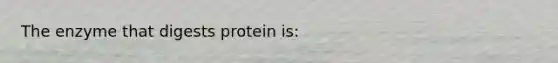 The enzyme that digests protein is: