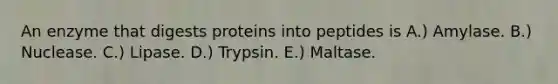 An enzyme that digests proteins into peptides is A.) Amylase. B.) Nuclease. C.) Lipase. D.) Trypsin. E.) Maltase.