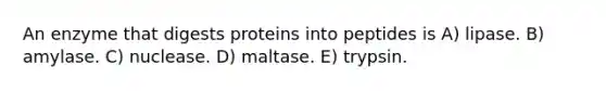 An enzyme that digests proteins into peptides is A) lipase. B) amylase. C) nuclease. D) maltase. E) trypsin.