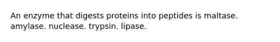 An enzyme that digests proteins into peptides is maltase. amylase. nuclease. trypsin. lipase.