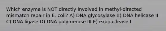 Which enzyme is NOT directly involved in methyl-directed mismatch repair in E. coli? A) DNA glycosylase B) DNA helicase II C) DNA ligase D) DNA polymerase III E) exonuclease I