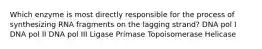 Which enzyme is most directly responsible for the process of synthesizing RNA fragments on the lagging strand? DNA pol I DNA pol II DNA pol III Ligase Primase Topoisomerase Helicase