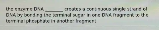 the enzyme DNA ________ creates a continuous single strand of DNA by bonding the terminal sugar in one DNA fragment to the terminal phosphate in another fragment