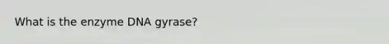 What is the enzyme DNA gyrase?