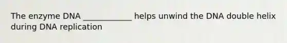 The enzyme DNA ____________ helps unwind the DNA double helix during DNA replication
