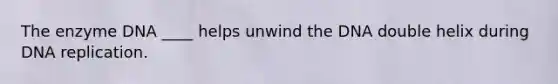 The enzyme DNA ____ helps unwind the DNA double helix during DNA replication.