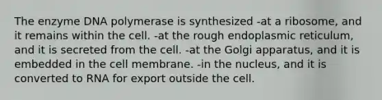 The enzyme DNA polymerase is synthesized -at a ribosome, and it remains within the cell. -at the rough endoplasmic reticulum, and it is secreted from the cell. -at the Golgi apparatus, and it is embedded in the cell membrane. -in the nucleus, and it is converted to RNA for export outside the cell.