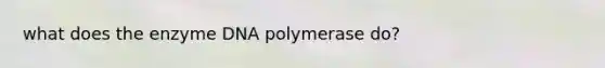 what does the enzyme DNA polymerase do?