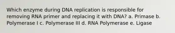 Which enzyme during DNA replication is responsible for removing RNA primer and replacing it with DNA? a. Primase b. Polymerase I c. Polymerase III d. RNA Polymerase e. Ligase