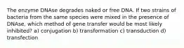 The enzyme DNAse degrades naked or free DNA. If two strains of bacteria from the same species were mixed in the presence of DNAse, which method of gene transfer would be most likely inhibited? a) conjugation b) transformation c) transduction d) transfection