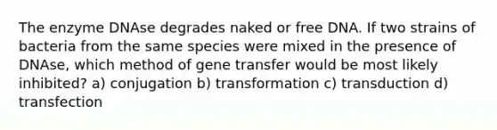 The enzyme DNAse degrades naked or free DNA. If two strains of bacteria from the same species were mixed in the presence of DNAse, which method of gene transfer would be most likely inhibited? a) conjugation b) transformation c) transduction d) transfection