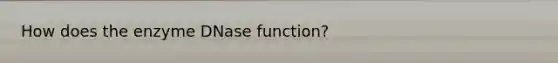 How does the enzyme DNase function?