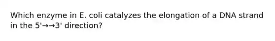 Which enzyme in E. coli catalyzes the elongation of a DNA strand in the 5'→→3' direction?