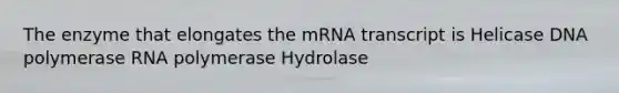 The enzyme that elongates the mRNA transcript is Helicase DNA polymerase RNA polymerase Hydrolase