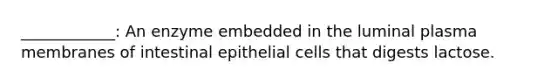 ____________: An enzyme embedded in the luminal plasma membranes of intestinal epithelial cells that digests lactose.