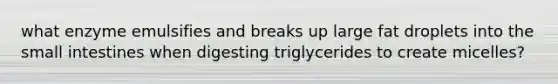 what enzyme emulsifies and breaks up large fat droplets into the small intestines when digesting triglycerides to create micelles?