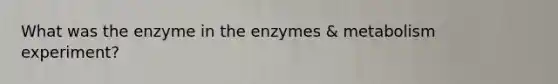 What was the enzyme in the enzymes & metabolism experiment?