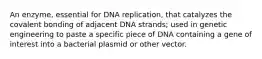 An enzyme, essential for DNA replication, that catalyzes the covalent bonding of adjacent DNA strands; used in genetic engineering to paste a specific piece of DNA containing a gene of interest into a bacterial plasmid or other vector.