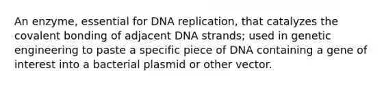 An enzyme, essential for DNA replication, that catalyzes the covalent bonding of adjacent DNA strands; used in genetic engineering to paste a specific piece of DNA containing a gene of interest into a bacterial plasmid or other vector.