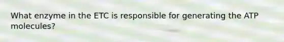 What enzyme in the ETC is responsible for generating the ATP molecules?