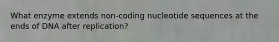 What enzyme extends non-coding nucleotide sequences at the ends of DNA after replication?