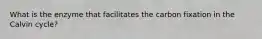 What is the enzyme that facilitates the carbon fixation in the Calvin cycle?