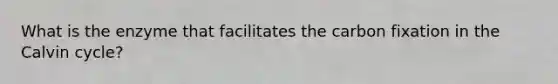 What is the enzyme that facilitates the carbon fixation in the Calvin cycle?