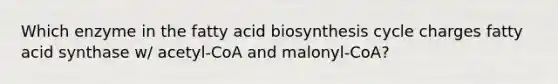 Which enzyme in the fatty acid biosynthesis cycle charges fatty acid synthase w/ acetyl-CoA and malonyl-CoA?