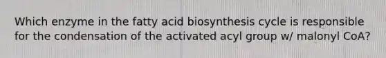 Which enzyme in the <a href='https://www.questionai.com/knowledge/kKyuSsPUxl-fatty-acid-biosynthesis' class='anchor-knowledge'>fatty acid biosynthesis</a> cycle is responsible for the condensation of the activated acyl group w/ malonyl CoA?