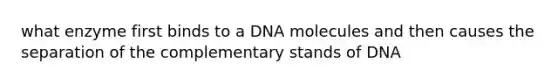 what enzyme first binds to a DNA molecules and then causes the separation of the complementary stands of DNA