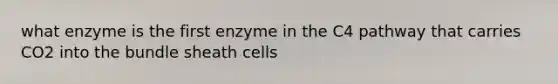 what enzyme is the first enzyme in the C4 pathway that carries CO2 into the bundle sheath cells