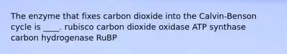 The enzyme that fixes carbon dioxide into the Calvin-Benson cycle is ____. rubisco carbon dioxide oxidase ATP synthase carbon hydrogenase RuBP