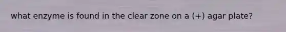 what enzyme is found in the clear zone on a (+) agar plate?