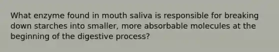 What enzyme found in mouth saliva is responsible for breaking down starches into smaller, more absorbable molecules at the beginning of the digestive process?