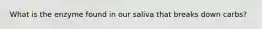 What is the enzyme found in our saliva that breaks down carbs?