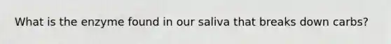 What is the enzyme found in our saliva that breaks down carbs?