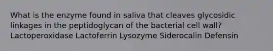 What is the enzyme found in saliva that cleaves glycosidic linkages in the peptidoglycan of the bacterial cell wall? Lactoperoxidase Lactoferrin Lysozyme Siderocalin Defensin