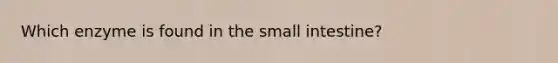 Which enzyme is found in the small intestine?