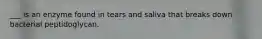 ___ is an enzyme found in tears and saliva that breaks down bacterial peptidoglycan.