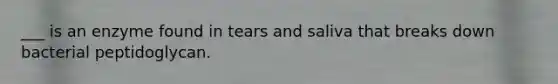 ___ is an enzyme found in tears and saliva that breaks down bacterial peptidoglycan.