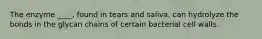 The enzyme ____, found in tears and saliva, can hydrolyze the bonds in the glycan chains of certain bacterial cell walls.