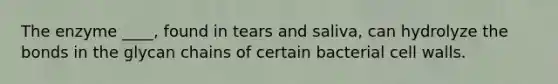The enzyme ____, found in tears and saliva, can hydrolyze the bonds in the glycan chains of certain bacterial cell walls.