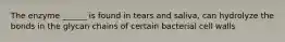 The enzyme ______ is found in tears and saliva, can hydrolyze the bonds in the glycan chains of certain bacterial cell walls