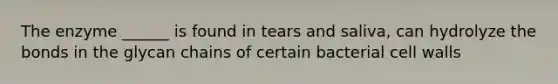 The enzyme ______ is found in tears and saliva, can hydrolyze the bonds in the glycan chains of certain bacterial cell walls