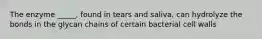 The enzyme _____, found in tears and saliva, can hydrolyze the bonds in the glycan chains of certain bacterial cell walls