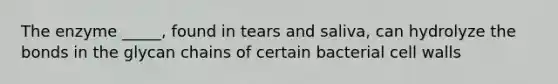 The enzyme _____, found in tears and saliva, can hydrolyze the bonds in the glycan chains of certain bacterial cell walls