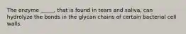 The enzyme _____, that is found in tears and saliva, can hydrolyze the bonds in the glycan chains of certain bacterial cell walls.