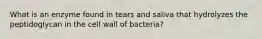 What is an enzyme found in tears and saliva that hydrolyzes the peptidoglycan in the cell wall of bacteria?