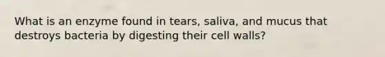 What is an enzyme found in tears, saliva, and mucus that destroys bacteria by digesting their cell walls?